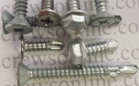 S/S Self Drilling Screws