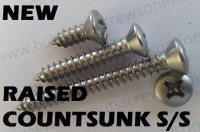 Raised Countersunk Stainless Steel Self Tappers