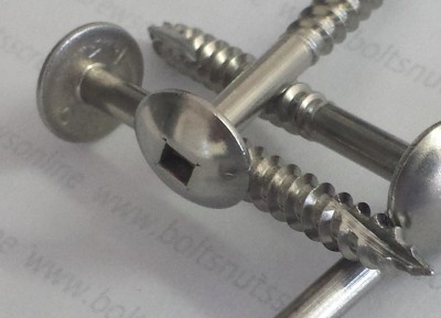 Button Head Screws Stainless Square Drive Image