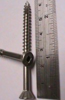 image of a stainless steel screw designed for decking.