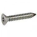 304 CSTS POST TORX:#6 X 3/4 (50)